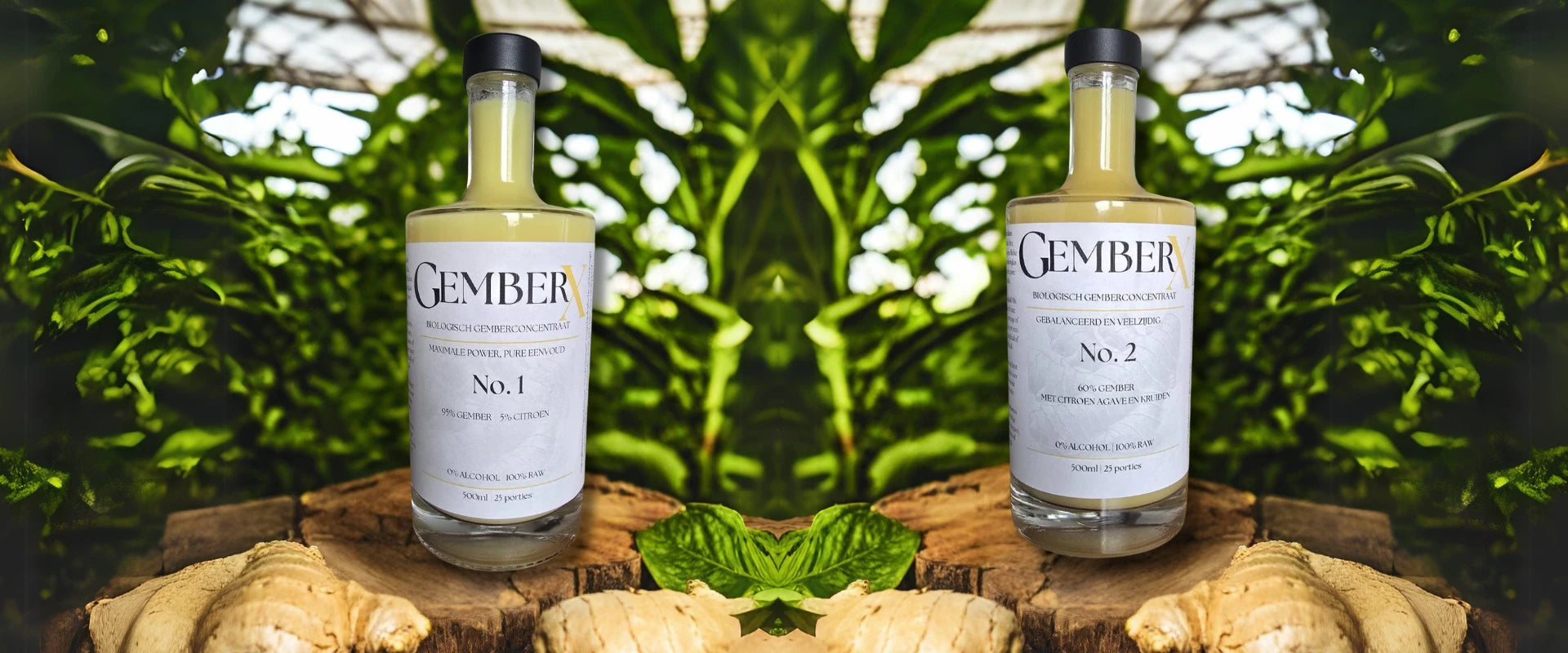 GemberX No.1 en No.2 - Biologisch gemberconcentraat met krachtige smaak, gepresenteerd in een natuurlijke setting met bloemen en groene planten.