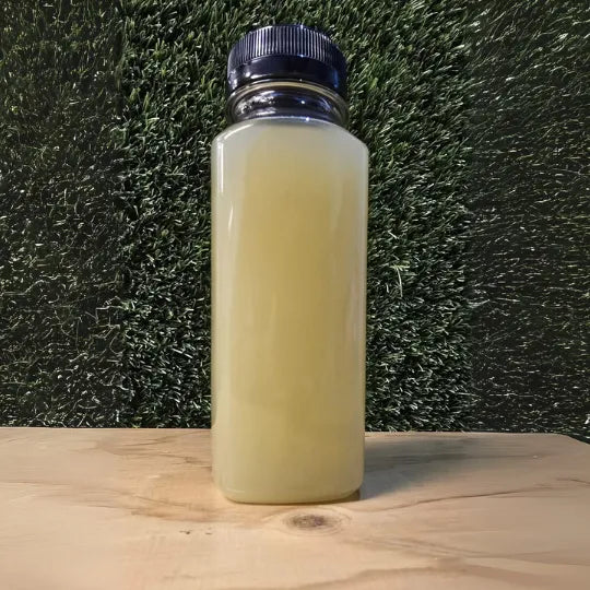Celery Supreme Cold-Pressed Juice in een doorzichtige fles met een lichtgroene kleur, gepresenteerd tegen een natuurlijke achtergrond.