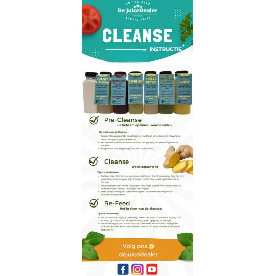 Een gedetailleerde instructiegids voor de Juice Cleanse van De JuiceDealer, met uitleg over Pre-Cleanse, Cleanse en Re-Feed. Bevat afbeeldingen van de zes cold-pressed juices en extra informatie over hoe de cleanse werkt."